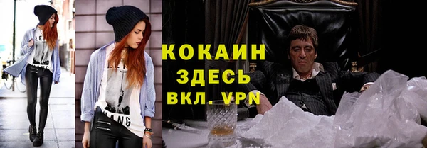 кокс Арсеньев