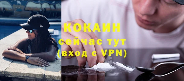 кокс Арсеньев