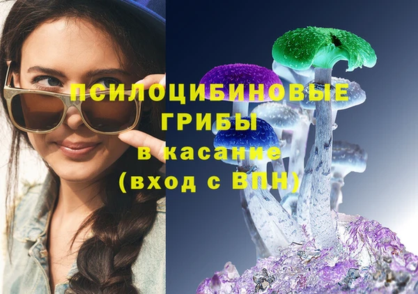 кокс Арсеньев