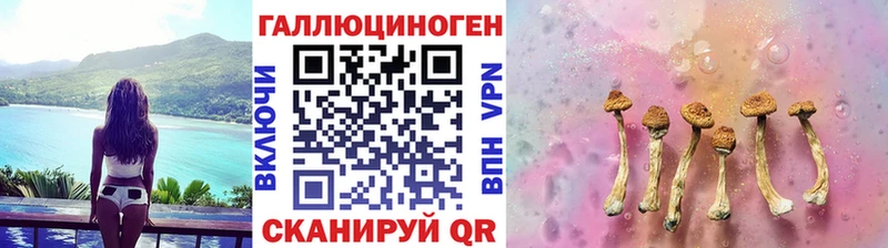 Псилоцибиновые грибы MAGIC MUSHROOMS hydra сайт shop телеграм Армянск
